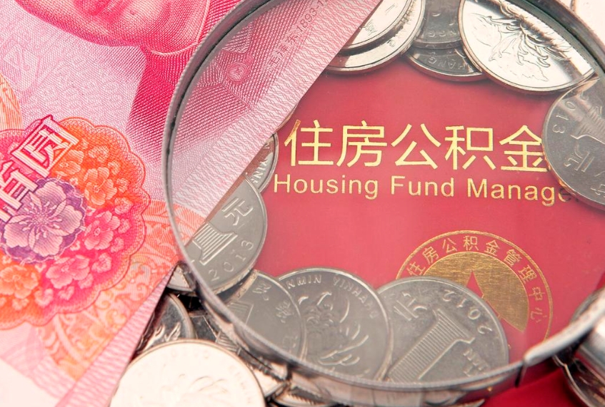 桓台上海公积金公司（上海公积金公司缴纳标准2024）